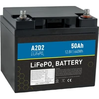 Avacom A2D2 batéria LiFePO4 12,8V 50Ah M6 (REPT cells) - Batérie