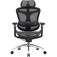 SIHOO Doro C300 Pro stolička čierna - Stoličky