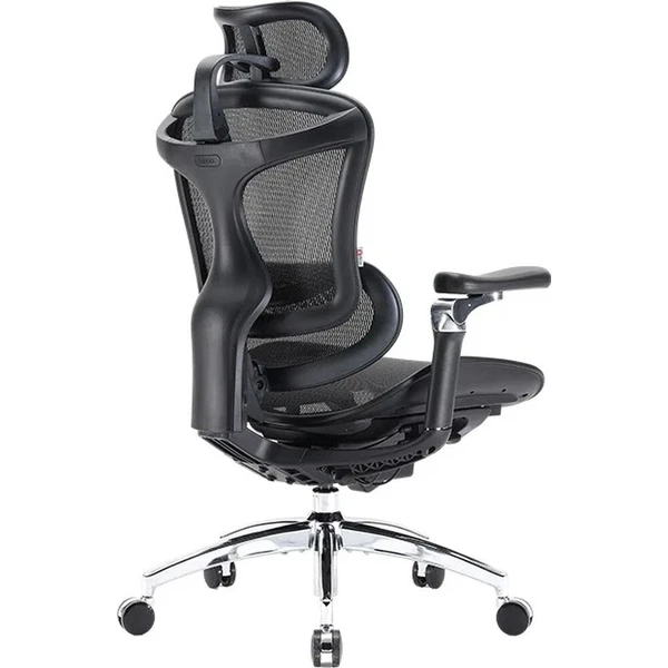 SIHOO Doro C300 Pro stolička čierna - Stoličky - Obrázok d_33ad49b65d2d4d6b9ed054e49d2dfb35