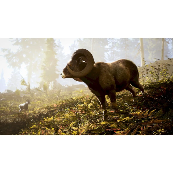 Hunting Simulator 3 (XSX) - Hry na Xbox Series - Obrázok d_5e4f3874bb244e65a0006ea382403b84