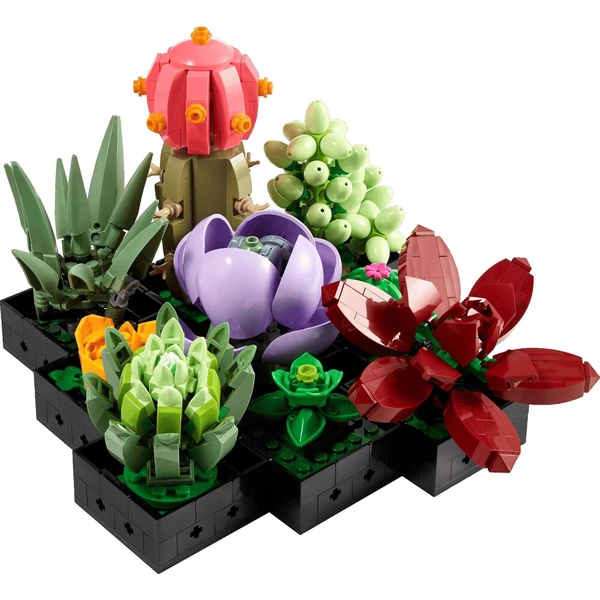 LEGO Botanicals 10309 Sukulenty - LEGO - Obrázok d_6031b10482c444fa80c430f57ca12e68