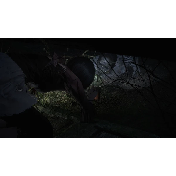 Fatal Frame II: Crimson Butterfly REMAKE (PS5) - Hry na PS5 - Obrázok d_61c177e73ff342a4b589a3fbe0723276