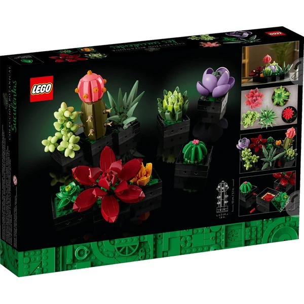 LEGO Botanicals 10309 Sukulenty - LEGO - Obrázok d_6ad8a249f43c4767a199fc6f1b9656b7