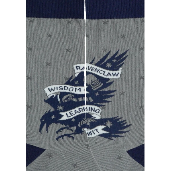 Ponožky Harry Potter - Ravenclaw 39/42 - Ponožky - Obrázok d_737a4e7334764c4d9c86fea0f1d0bbdf