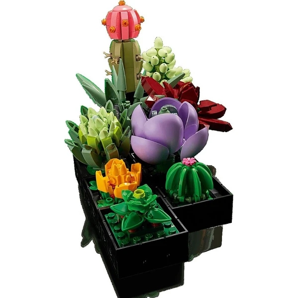 LEGO Botanicals 10309 Sukulenty - LEGO - Obrázok d_7557de2f6c5447729701fc2155643e83