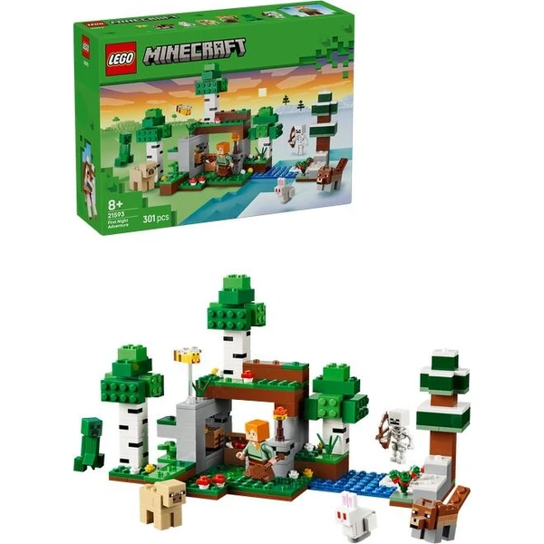 LEGO Minecraft 21593 Prvé nočné dobrodružstvo - LEGO - Hlavný obrázok