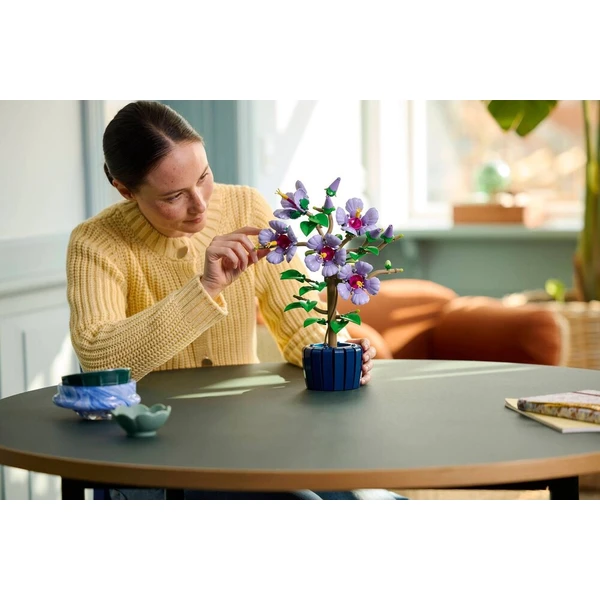 LEGO Botanicals 10372 Ibišek - LEGO - Obrázok d_76f4067a3f784fcab7da03e71af42d1d