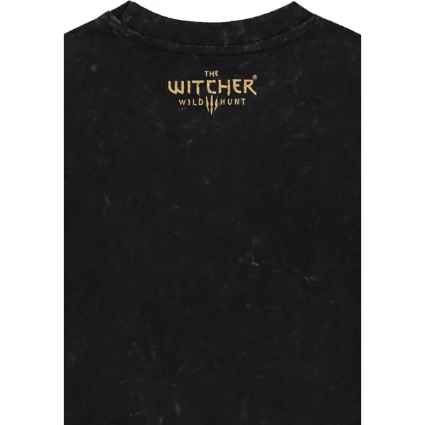 Tričko The Witcher - Ciri a Basilisk (Loose Fit) 2XL - Tričká - Obrázok d_77bfc346d43c4600a80d5c50f3b4b0e9
