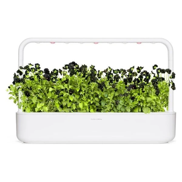 Click and Grow sadenice - Čierna maceška - Sadenice - Obrázok d_7825918ce9c64cffaea2490153e14b0a