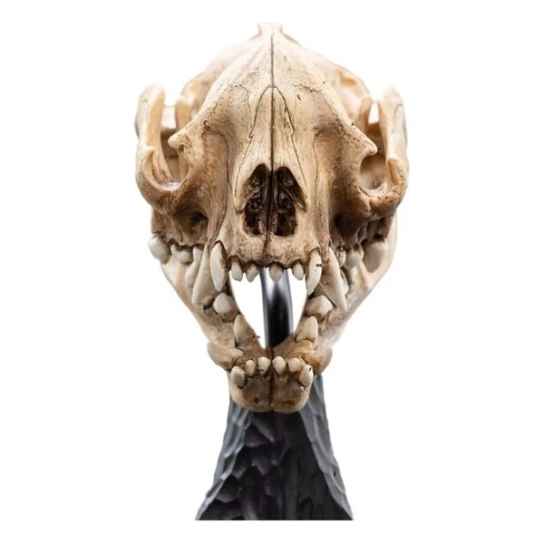 Soška Weta Workshop Pán prsteňov - lebka warga 20 cm - Sochy a sošky - Obrázok d_7a06aad558ff4299bc30d681a6c8bc41