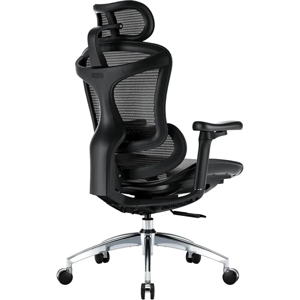 SIHOO Doro C300L stolička čierna - Stoličky - Obrázok d_7a48a9c903714a85b1b0062ad48c4bdc