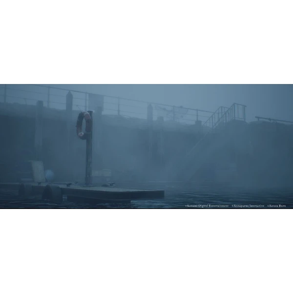 Silent Hill Townfall (PS5) - Hry na PS5 - Obrázok d_942d7bf59f4045ccbf0a654e588b25e1
