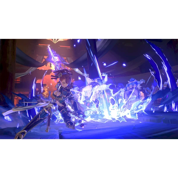 Granblue Fantasy Relink Endless Ragnarok (Game-key card) (Switch 2) - Hry na Nintendo Switch 2 - Obrázok d_a0b23c98206742328e0f77e8a150f9ad