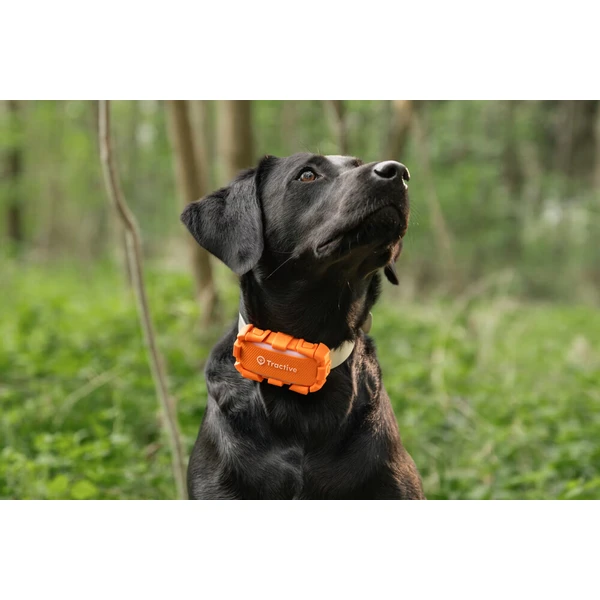 Tractive DOG 6 XL - Adventure Edition, oranžový - GPS Moduly  - Obrázok d_ac1a2baa1056423a803092ae9fcc831d