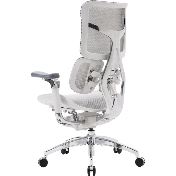 SIHOO Doro S300 stolička svetlo šedá - Stoličky - Obrázok d_ad26cb7b78d34b878cfccc132f17a493