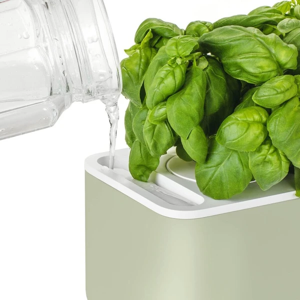Click and Grow Smart Garden 3 šikovný kvetináč + 3ks kapsúl so semienkami bazalky šalviovo zelený - Kvetináče - Obrázok d_b5c11d0fbf8d4ff5844f0e549251259f