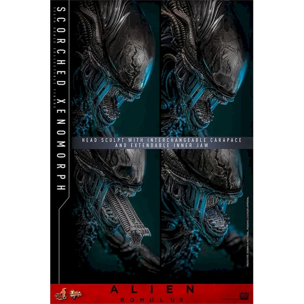 Soška Hot Toys Alien: Romulus Movie Masterpiece Action Figure 1/6 Scorched Xenomorph 44 cm - Sochy a sošky - Obrázok d_be94db211c6041f795cc8d1820b3da9c