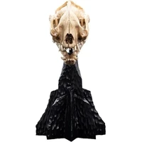 Soška Weta Workshop Pán prsteňov - lebka warga 20 cm - Sochy a sošky