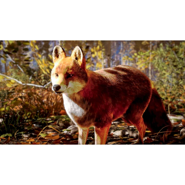 Hunting Simulator 3 (PS5) - Hry na PS5 - Obrázok d_c0659d494a2144f2aef4bf4d842e5a57