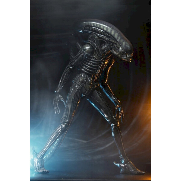 Figúrka Alien 1979 Action Figure 1/4 Ultimate 40th Anniversary Big Chap 56 cm - Sochy a sošky - Obrázok d_c622d59f6cc44d8c80c49d5ea514aa1e