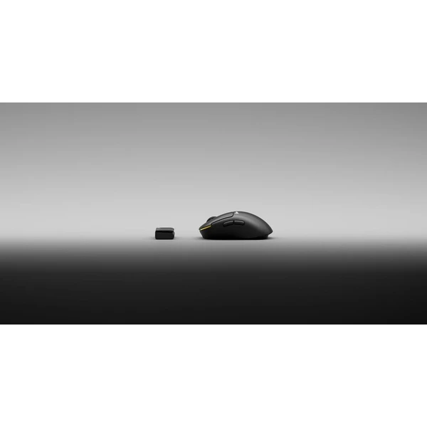 Pulsar Zywoo The Chosen Mouse Gen.2 Medium bezdrôtová herná myš čierna - Myši - Obrázok d_c7b7ca60976d47b99408e4d425b63543