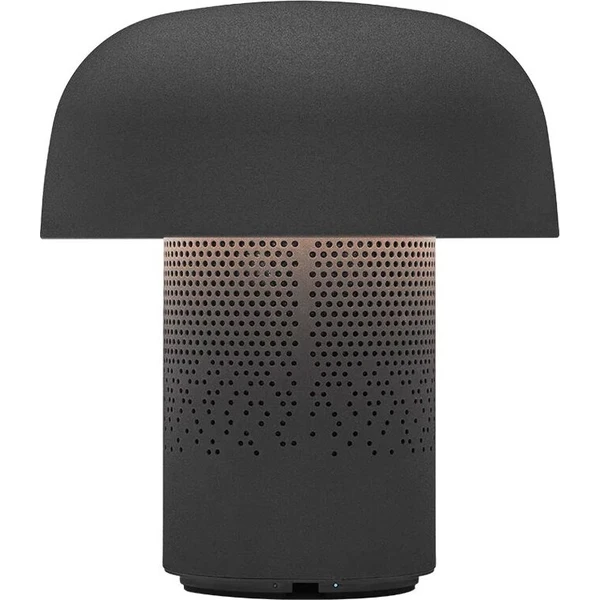 KOODUU Sensa Play JBL bezdrôtový reproduktor Anthracite - Reproduktory - Obrázok d_c7fef3fe01e645d1b88c071f21905533