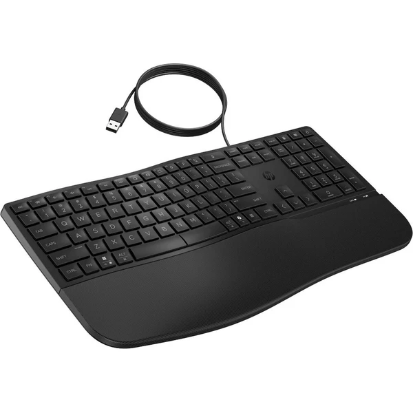 HP 480 Comfort klávesnica čierna - Klávesnice - Obrázok d_cb9ba07ce2444addaafbe41498d21a11
