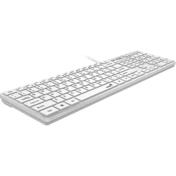 Genius Slimstar 126 biela - Klávesnice - Obrázok d_cfb629fe9890469886cf1c4eebaab2f3