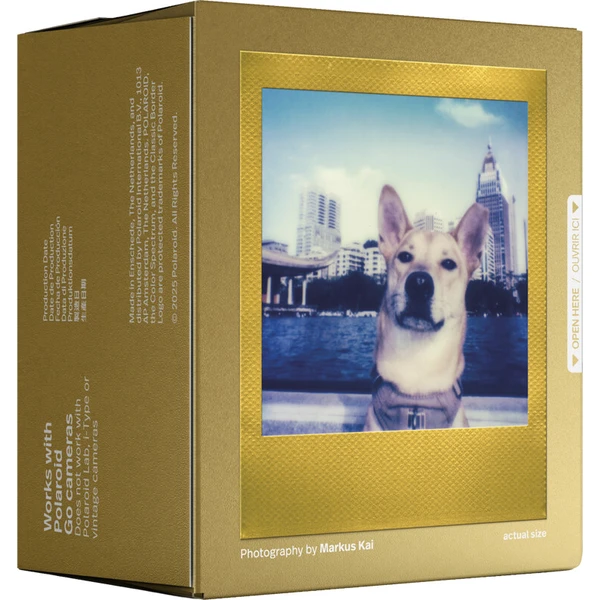 Polaroid Go Color Film Gold Frame (Double Pack) - Filmy pre instantné fotoaparáty - Obrázok d_d18b4fae82374c72bdcbf51e6a411615