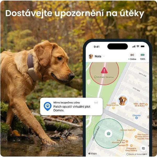 Tractive DOG 6 XL, hnedý - GPS Moduly  - Obrázok d_d78f63b321de40faaab4e7bff4360790