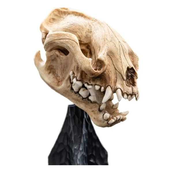 Soška Weta Workshop Pán prsteňov - lebka warga 20 cm - Sochy a sošky - Obrázok d_d7a375f8f60947f6a59cc35ac54b58c3