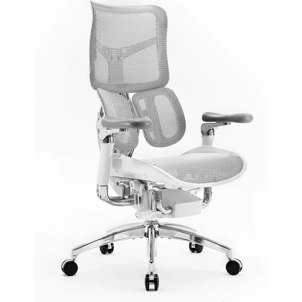SIHOO Doro S300 stolička svetlo šedá - Stoličky - Obrázok d_da0ab007d4a148c59036e2ff93084c64