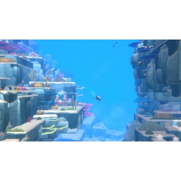 Dave the Diver Collector's Edition (Switch 2) - Hry na Nintendo Switch 2 - Obrázok d_e0b178e7b9dd4ab286ef8cd3c88fd0cc