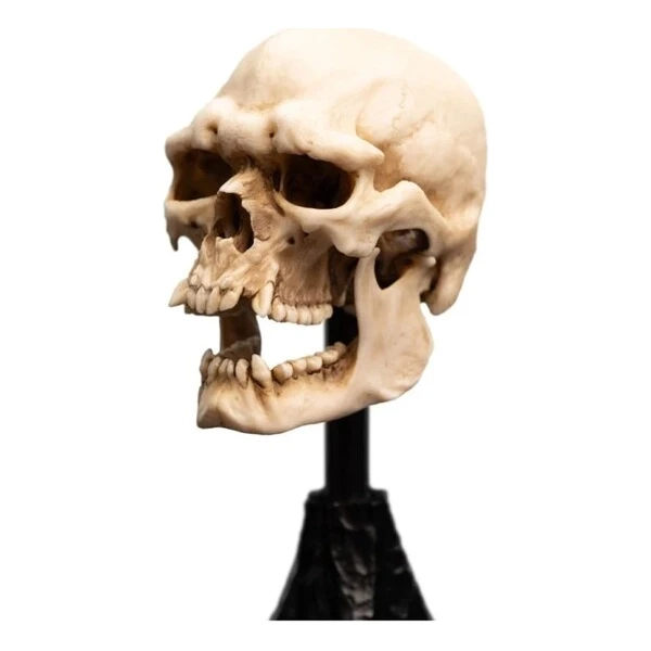 Soška Weta Workshop Pán prsteňov - lebka skřeta z Mordoru 15 cm - Sochy a sošky - Obrázok d_eea72adc0a684d049fd9b01a5b659002