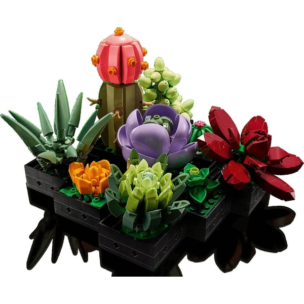 LEGO Botanicals 10309 Sukulenty - LEGO - Obrázok d_fa5c22625f2242cda8f34bd32e91db9b