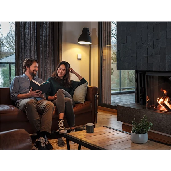Netatmo Smart Carbon Monoxide Alarm inteligentný detektor oxidu uhoľnatého  - Senzory - Obrázok fb990b6596064056b09b8d6af4ea1641